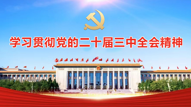 专题丨学习贯彻党的二十届三中全会精神